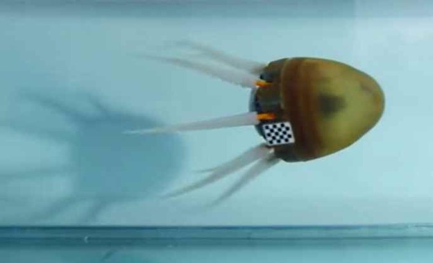 VIDEO: Hobotnica robot dobila mekane krakove VIDEO: Hobotnica robot dobila mekane krakove