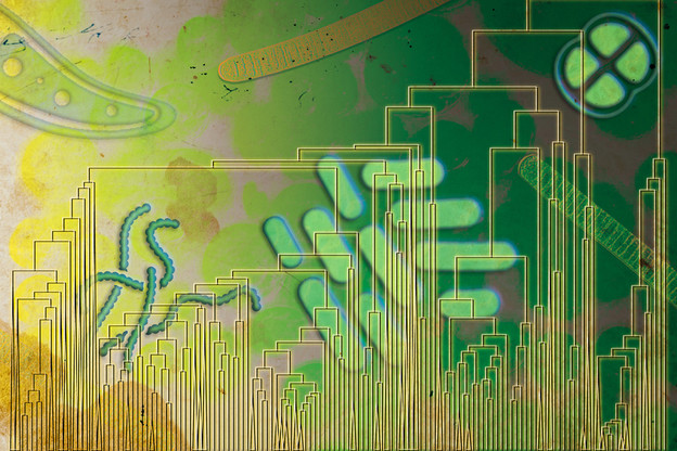 Disanje je započelo stotinama milijuna godina ranije