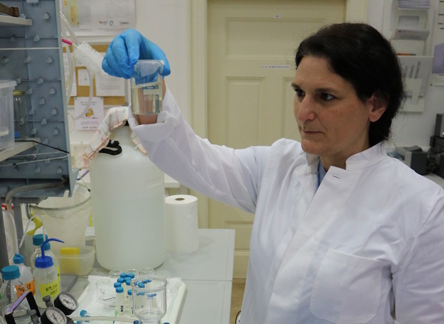 IRB razvija gnojivo iz meduza i rebraša
