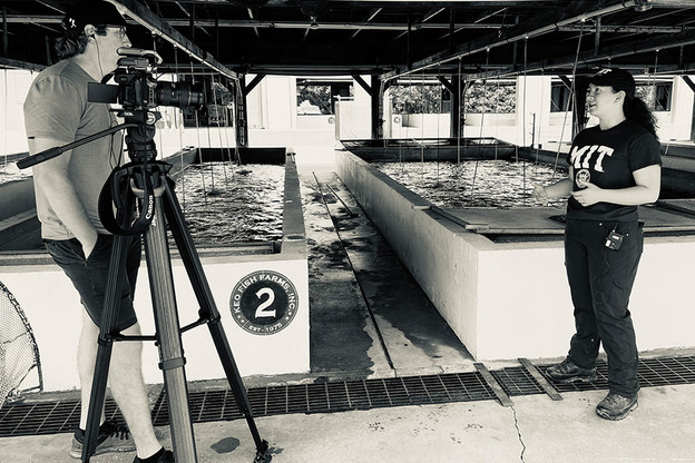 Istraživanje potencijala regenerativne akvakulture