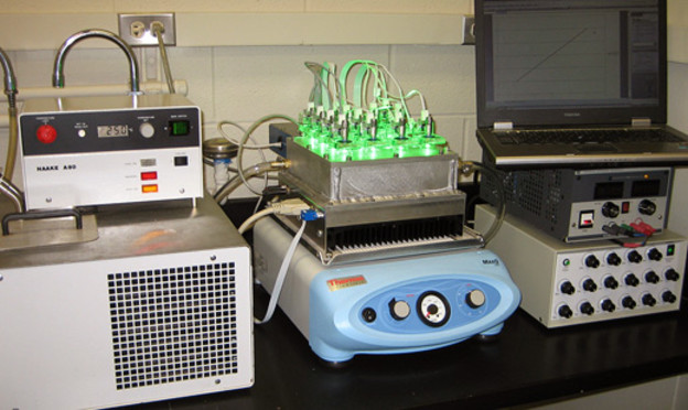 Kvantne točke produžuju fotosintezu