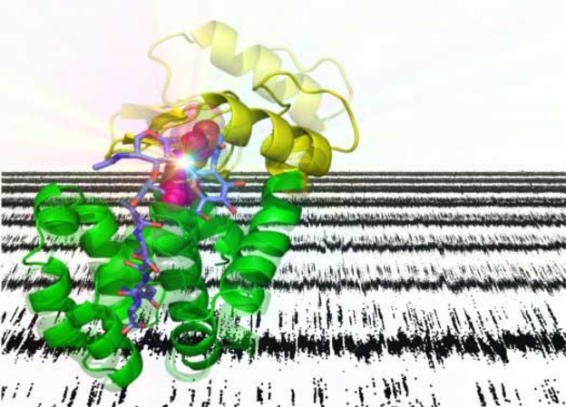 Nanotranzistor proučava proteine u ljudskim suzama Nanotranzistor proučava proteine u ljudskim suzama