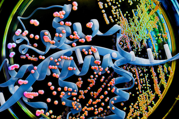 Novi AI model za razvoj proteinskih lijekova