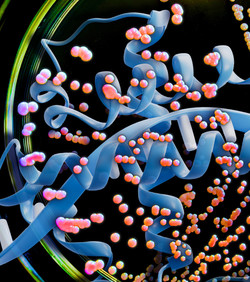 Novi AI model za razvoj proteinskih lijekova