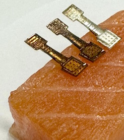 Novi senzor prati svježinu ribe