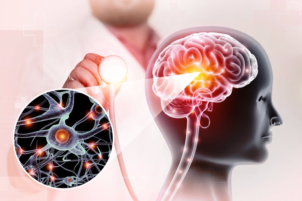 Prvi potpuno sintetički model moždanog tkiva