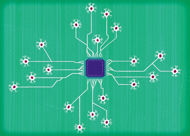 Računala koja rade na ljudskim moždanim stanicama