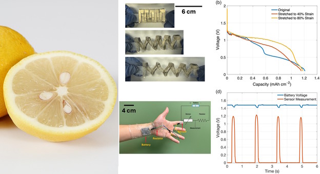 Rastezljiva baterija inspirirana limunima