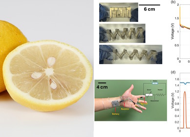 Rastezljiva baterija inspirirana limunima