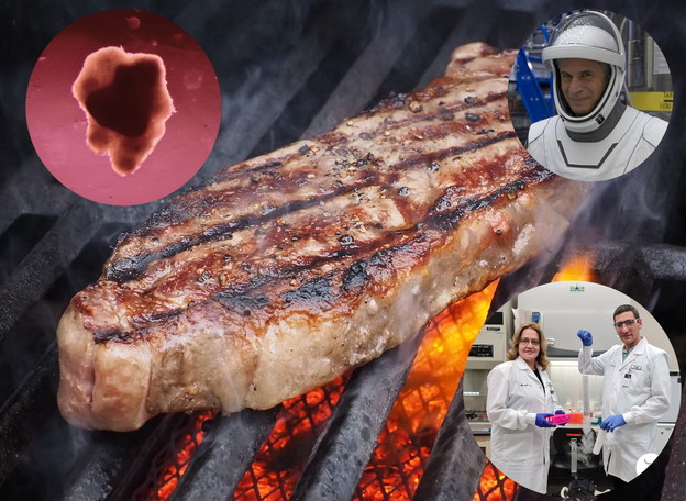 Svemirski turisti testiraju steak od matičnih stanica Svemirski turisti testiraju steak od matičnih stanica