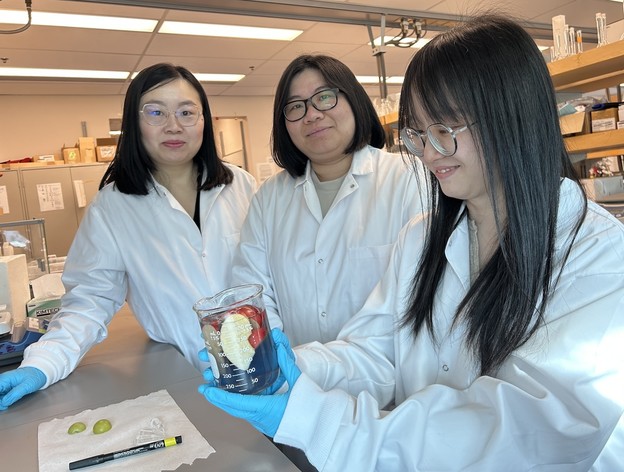 VIDEO: Biorazgradivo sredstvo za ispiranje voća