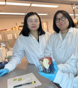 VIDEO: Biorazgradivo sredstvo za ispiranje voća