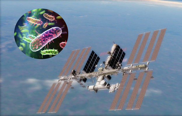 Virusi mutirani u svemiru za bolje antibiotike