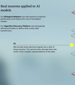 Živi neuroni integrirani u umjetnu inteligenciju