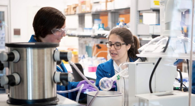 Hidrogel otpušta antibiotike kad detektira bakterije Hidrogel otpušta antibiotike kad detektira bakterije