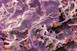 mRNA cjepiva za HIV pokazuju dobre rezultate