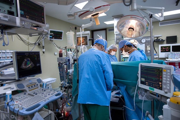 Uspješna transplantacije bubrega sa svinje na čovjeka Uspješna transplantacije bubrega sa svinje na čovjeka